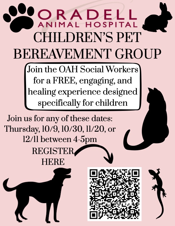 Child Pet Bereavement Session