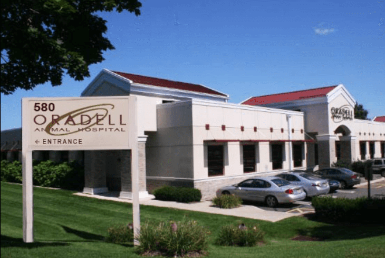 Oradell Animal Hospital: Top Rated Paramus Veterinarians