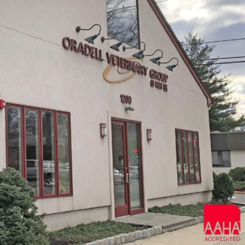 Oradell Veterinary Group of Fort Lee