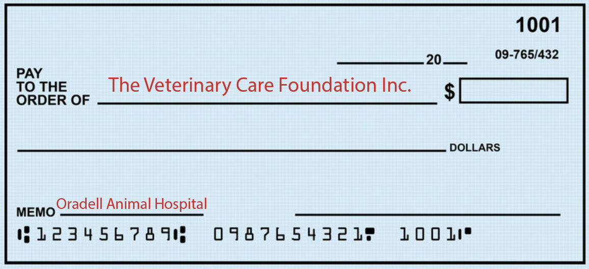 Dr. P Fund