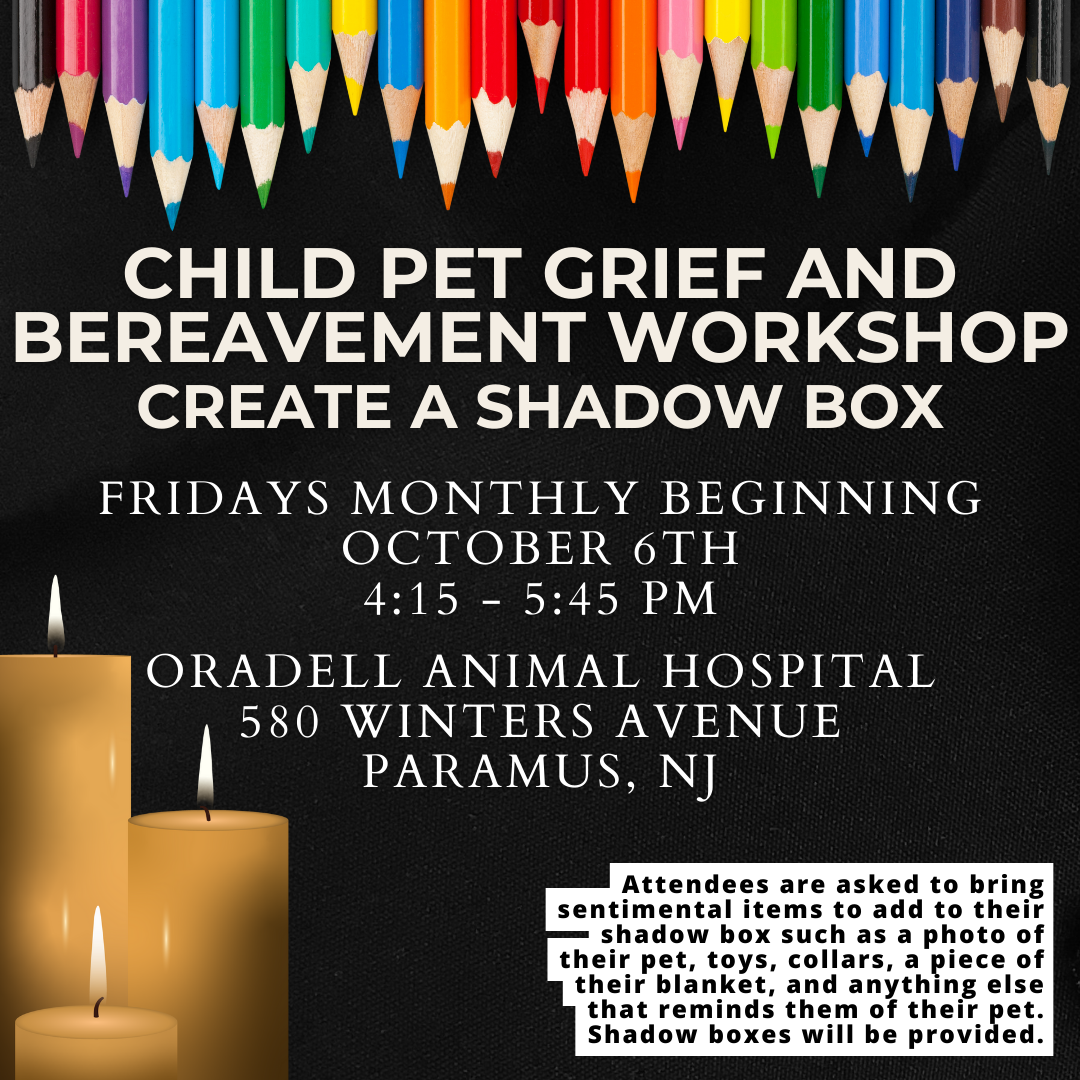 Child Pet Bereavement Workshop