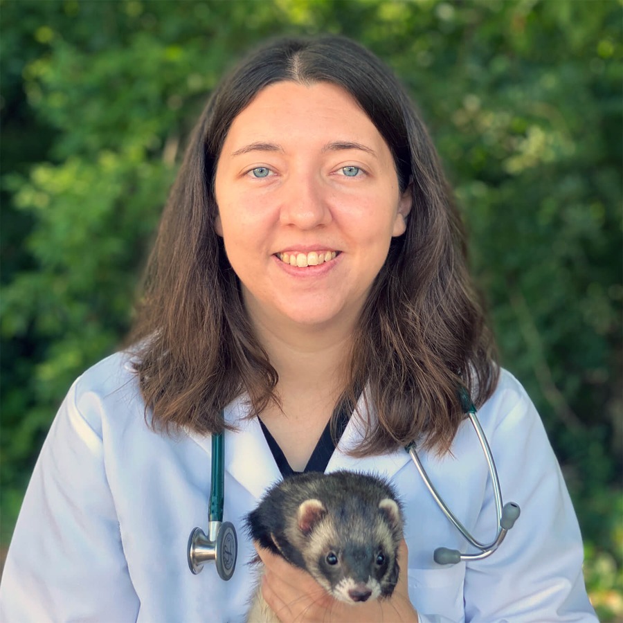 Dr. Kyra Knutson