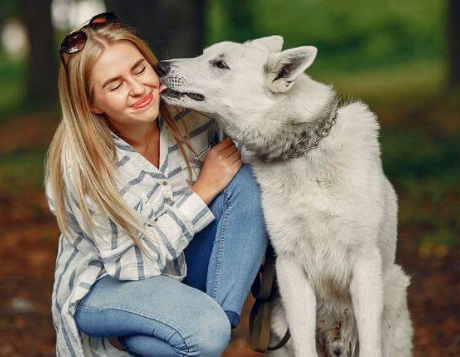 National Lost Pet Prevention Month: Our Best Tips for Keeping Your Furry Friend Safe