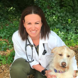 Oradell Animal Hospital: Top Rated Paramus Veterinarians Oradell Animal Hospital: Top Rated Paramus Veterinarians