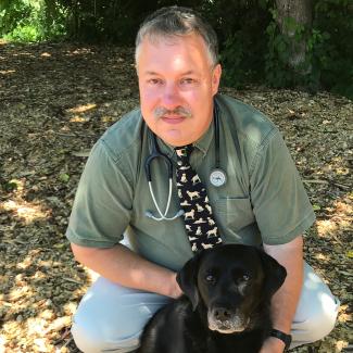 Oradell Animal Hospital: Top Rated Paramus Veterinarians Oradell Animal Hospital: Top Rated Paramus Veterinarians