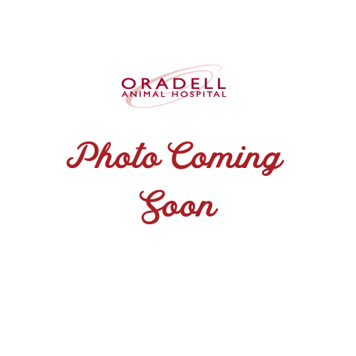Photo Coming Soon
