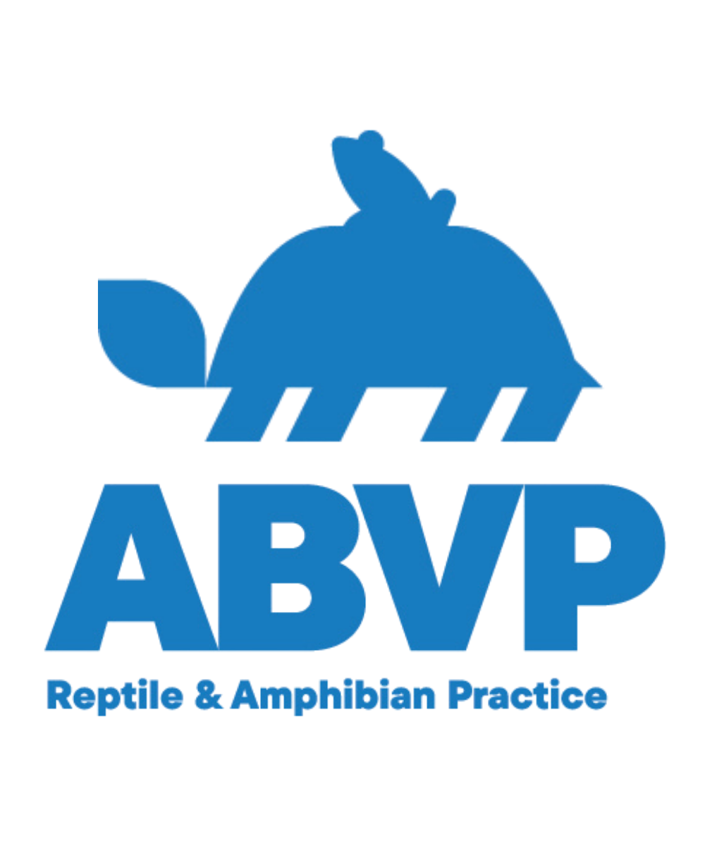 Paramus Veterinarian & 24/7 Emergency Care - Oradell Animal Hospital