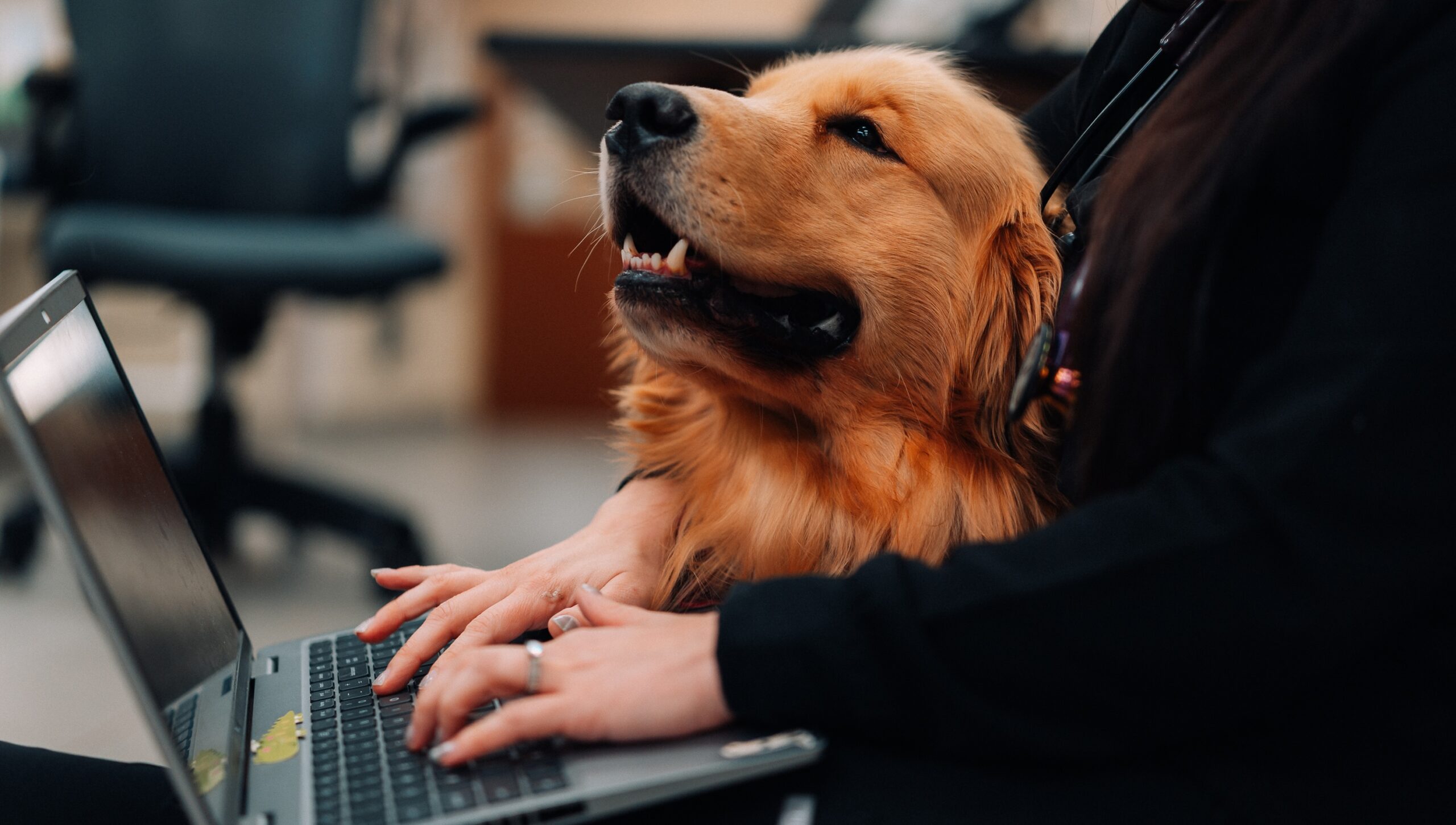 does bpc 157 work on dogs Blog
