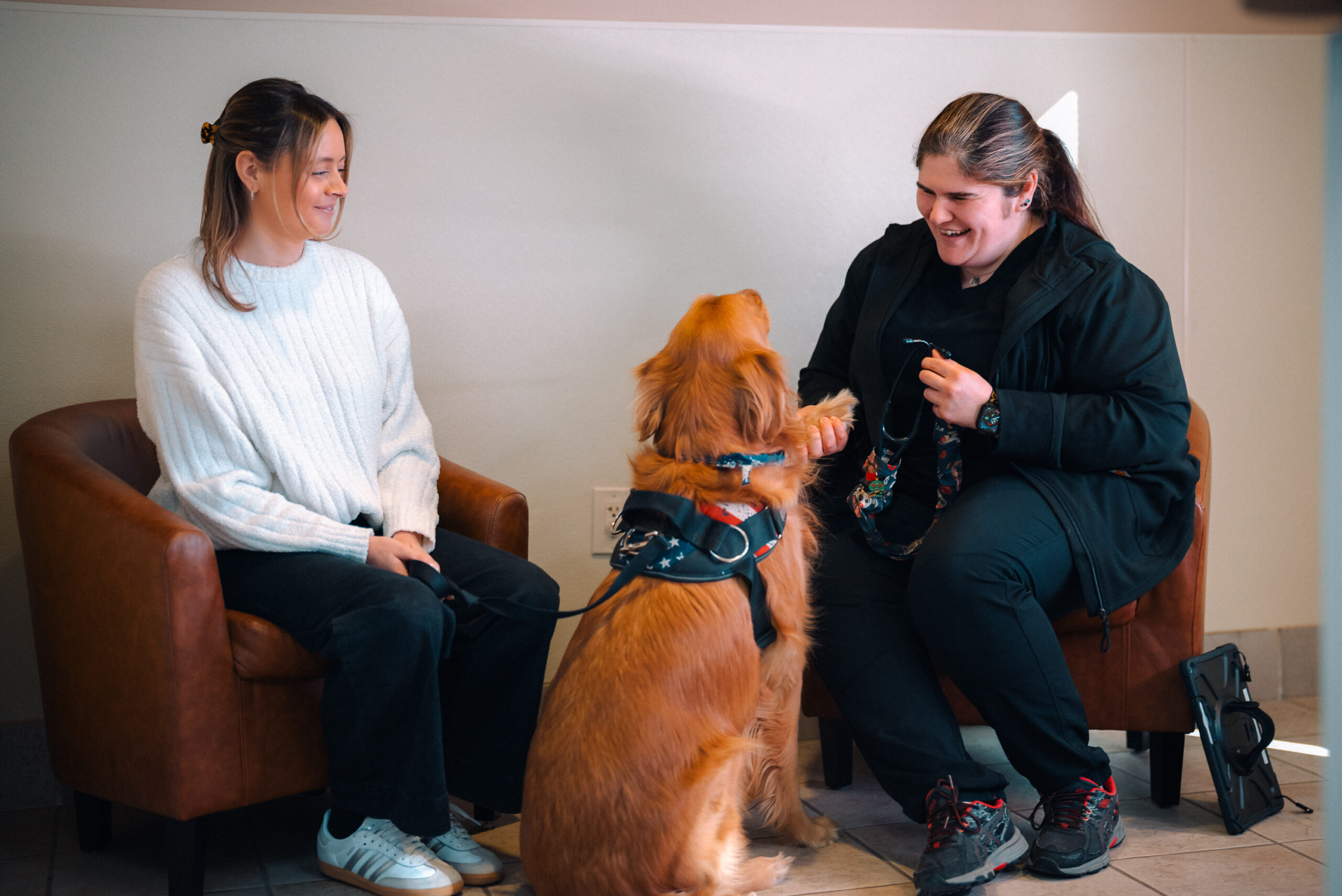 Oradell Animal Hospital - Paramus