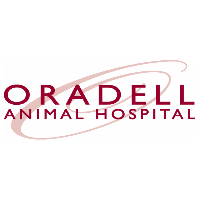 Oradell Animal Hospital logo
